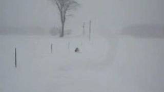 Bullies In The Snow 2