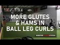 More Glutes & Hams in Ball Leg Curls