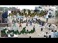 Volleyball Tournament Final Match