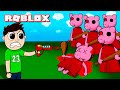 MATAMOS a 9,999,999 PIGGY en ROBLOX !! (Piggy Simulator)
