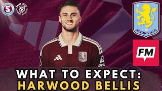 SOUTHAMPTON FAN VIEW TAYLOR HARWOOD BELLIS - Martin Sanders Football Martin