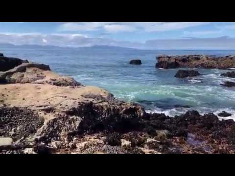 Vídeo: Exploração De Surf No Parque Provincial De Juan De Fuca, BC, Canadá - Matador Network