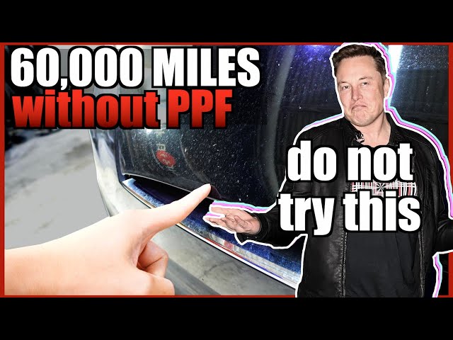 Why Your Tesla NEEDS Clear Bra Paint Protection Film 