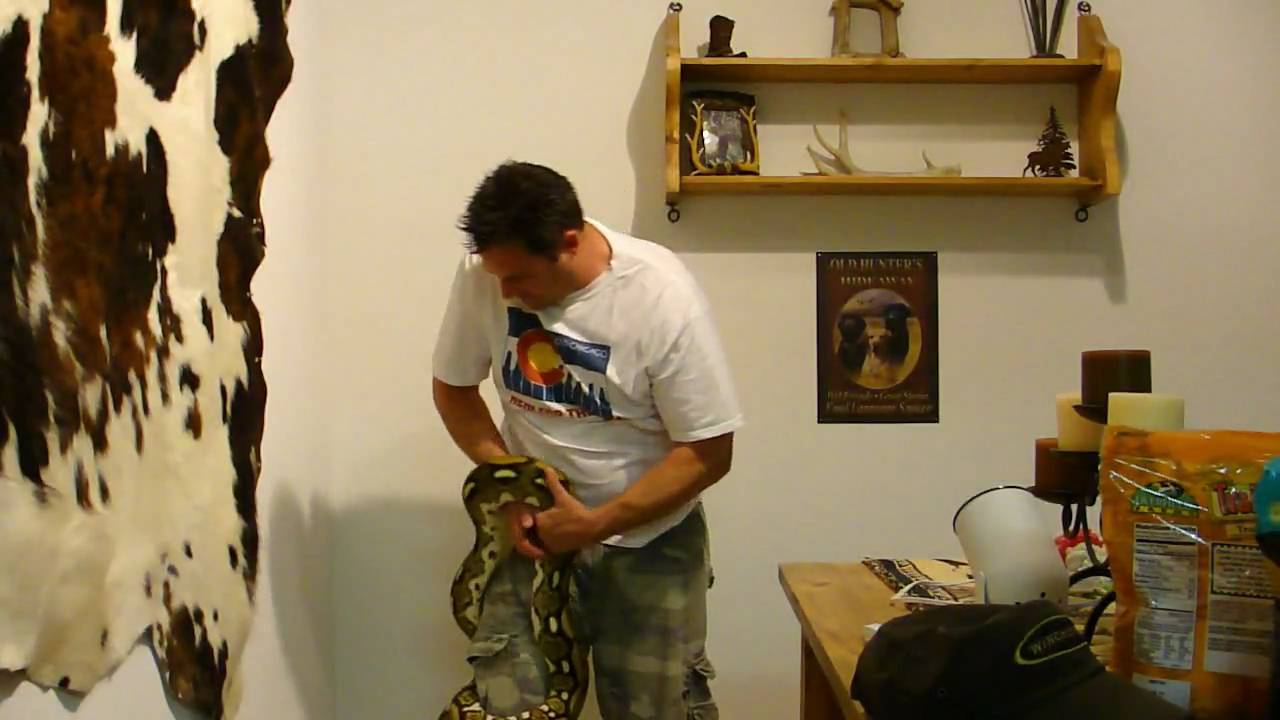 pets bd Arnold July 09