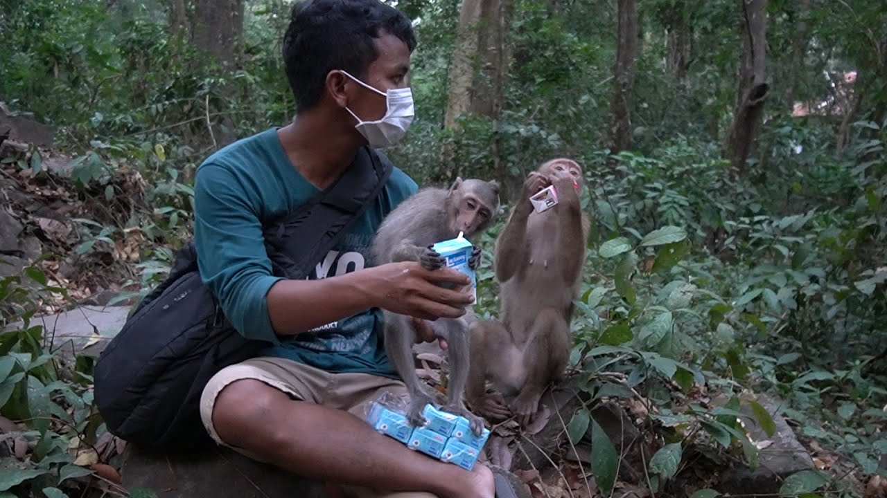 Before I get back home I try to give extra milk to kids & than they go finding place for sleeping