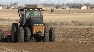 Versatile 260