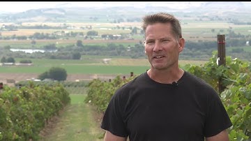 Idaho Wineries Use Laser Bird Repellent to Protect Crops from Birds