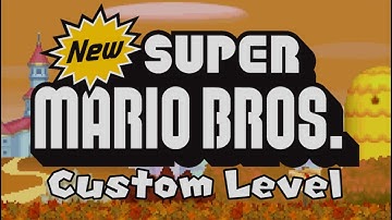 NSMBDS Custom Level