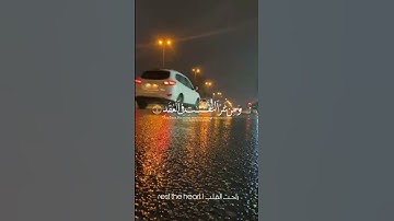 القارئ|سعد الغامدي|أرح سمعك وقلبك|#سعد_الغامدي