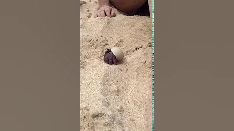 Dad? Dad? Can he be our pet Dad?!?