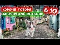 ЛЕГЕНДАРНЫЙ СЕРИАЛ О БЕЗДОМНОМ КОТЕНКЕ Лайки [От первого лица] Серия 6-10