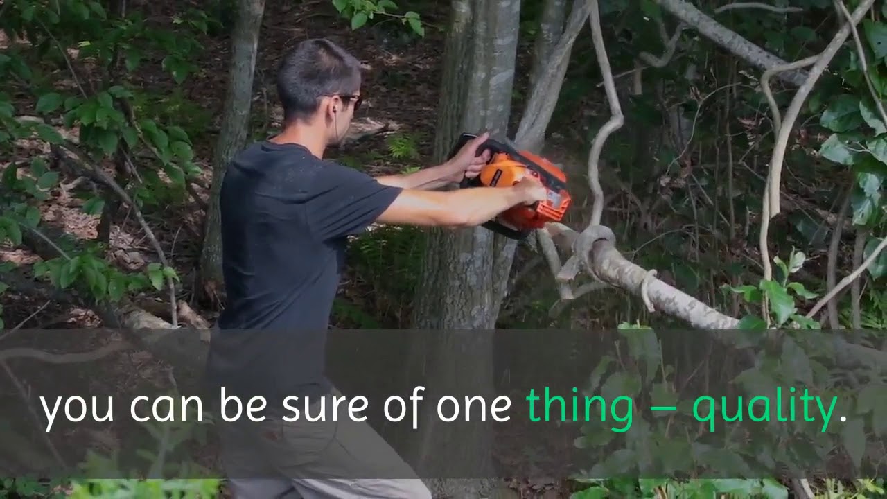 Tree Stump Removal Dallas 9723850402 Just Trees YouTube