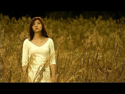 柴田淳 - 幻 (MV)