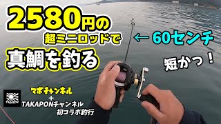 釣具屋さんで一番安くて短い竿を買って大物に挑んでみた！ TAKAPONチャンネルコラボ編　マボチャンネル