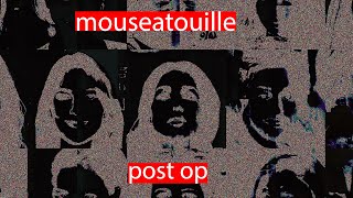 Watch Mouseatouille Post Op video