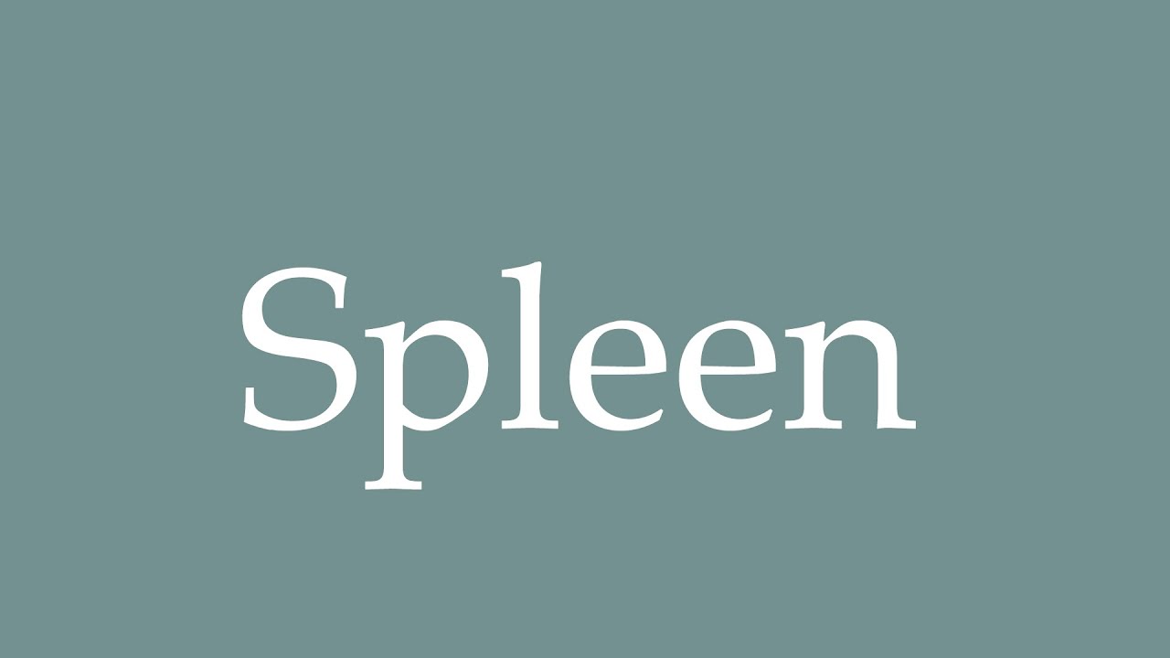 How to Pronounce ''Spleen'' Correctly in French YouTube