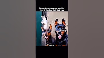 Hide and seek! #shorts #codm #codmobile #callofdutymobile