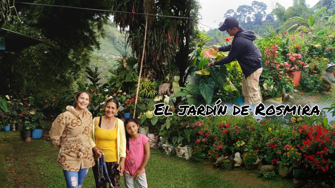El jardín de Rosmira Acompañame a este recorrido con miles de flores /PRADERA VALLE, COLOMBIA.