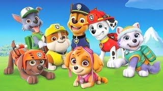 Subscribe https://www./user/smallsurprise/feed?view_as=public more
videos here https://www./user/smallsurprise/videos paw patrol on a
r...