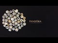 My Pandora Clip Collection