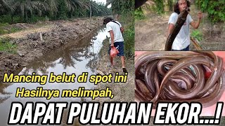 Mancing Belut Di Parit.perkebunan kelapa sawit