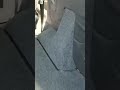 Toyota Avanza Carpet Reupholstery