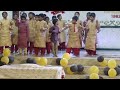 children's day special song @ pradeep j vlogs