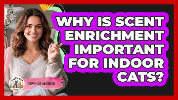 Why Is Scent Enrichment Important For Indoor Cats? - Happy Cat Handbook