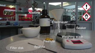 172 EXTRACTION OF OILY COMPONENTS OF PEANUTS WITH ACETONE