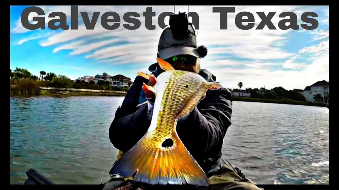Flounder and Red Drum Action in Galveston West Bay YouTube