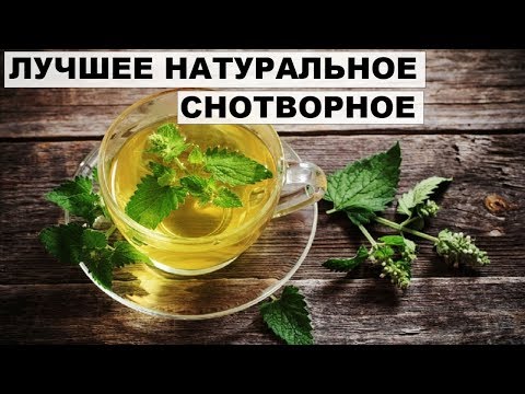 МЕЛИССА:ПОЛЕЗНЫЕ ЛЕЧЕБНЫЕ СВОЙСТВА и ПРОТИВОПОКАЗАНИЯ.