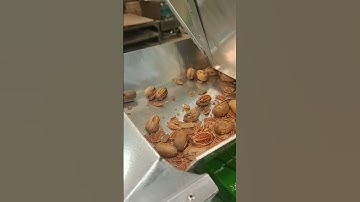 Thomson Vibra 2 Sheller running size 13 pecans