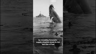 What If The Enigma Was Never Broken? (WW2) #history #ww2 #ww1 #shorts