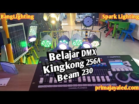 Belajar DMX Kingkong