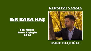 Emre Elçioğlu - Bir Kara Kaş Resimi