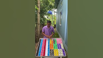 Game Challenge Sort Ball Puzzle #games #challenge #sortvideo #puzzle .