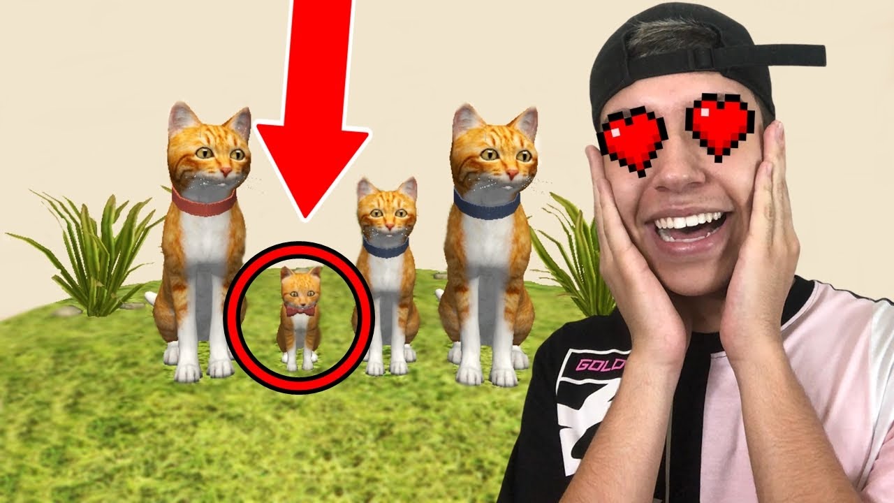 VIREI UM GATINHO NO ROBLOX ! (Simulador de Gato) 