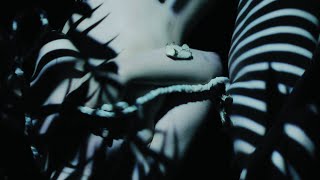 Eclecta -  Pleasure \& Pain [Teaser]