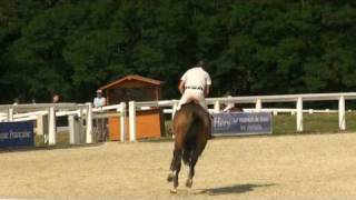 Download Lagu Candrio (webstallions.com) MP3 Download Lagu Candrio (webstallions.com) MP3