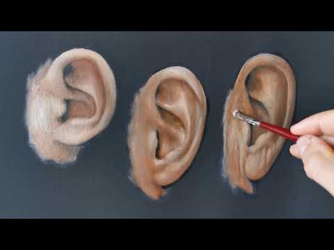 Painting Ears In Layers - Building Up With White and Glazing