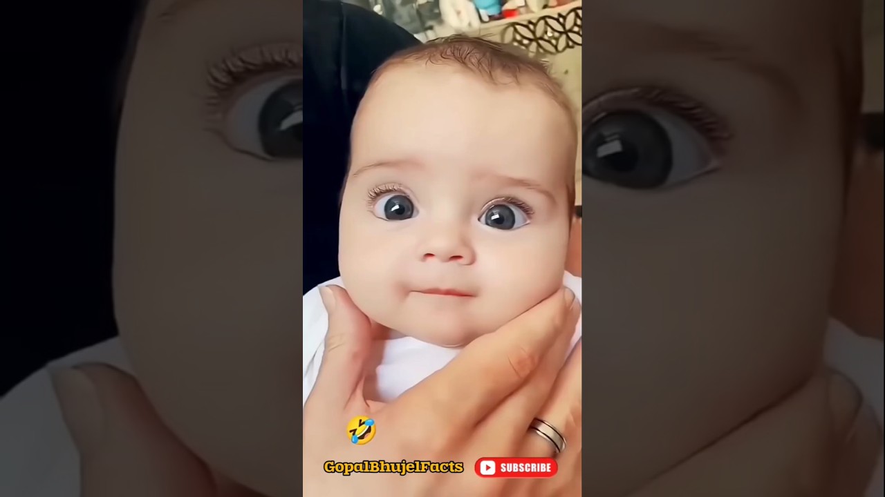 Cute Maxica Plush Dancing Cactus Electric Plush Toy Auto 😂🥰 #funnyshorts #cute #shortsviral