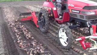 Onion Harvest Machine Agricultural Tools and Equipment Farming Yanmar