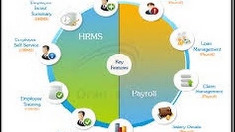 HRMS Software Solutions Provider Developer Designer Programmer Consultant Analyst Offer