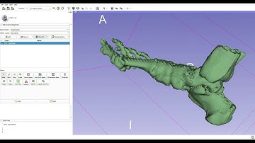 Segmentation tutorial 01