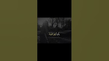 #القرآن_الكريم #راحة_نفسية #بصوت #جميل #ياسر_الدوسري #بصوت_القارئ #راحة_نفسية