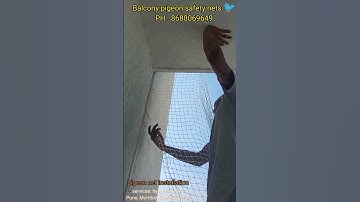 pigeon net installation 🐦