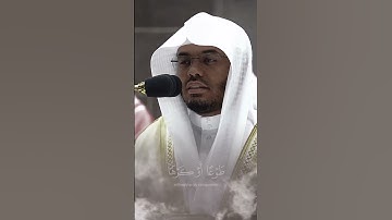 سورة فصلت | ياسر الدوسري