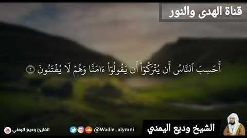 تلاوه رائعه من سوره العنكبوت للشيخ وديع اليمني