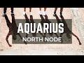 Unlock Your Destiny: Mastering the Aquarius North Node Life Path