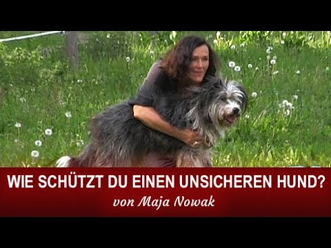 Video: Hunde Und Wasserbedingte Gefahren, Teil 2